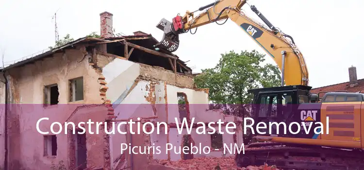 Construction Waste Removal Picuris Pueblo - NM