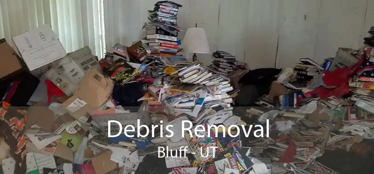 Debris Removal Bluff - UT