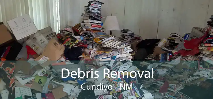 Debris Removal Cundiyo - NM