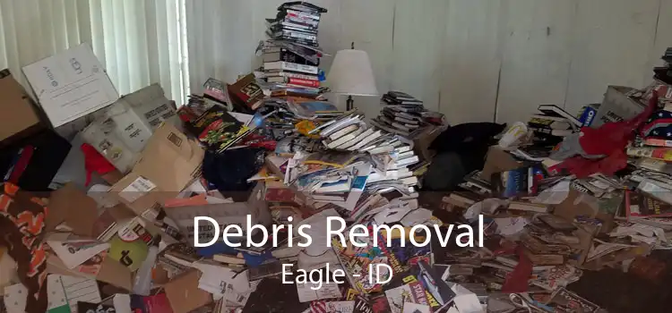 Debris Removal Eagle - ID