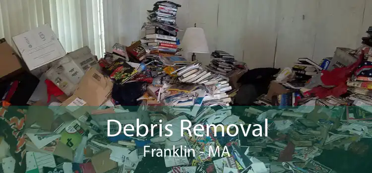 Debris Removal Franklin - MA