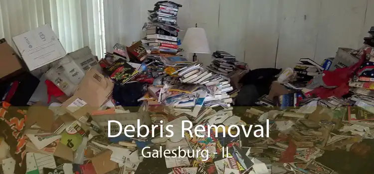 Debris Removal Galesburg - IL