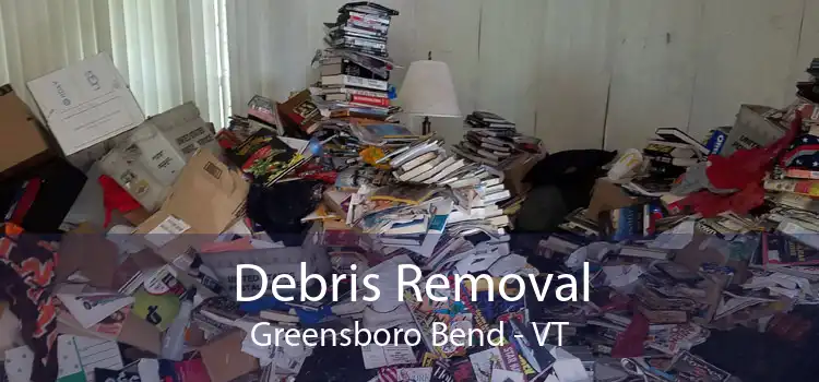 Debris Removal Greensboro Bend - VT