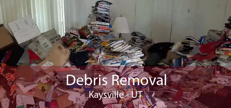 Debris Removal Kaysville - UT