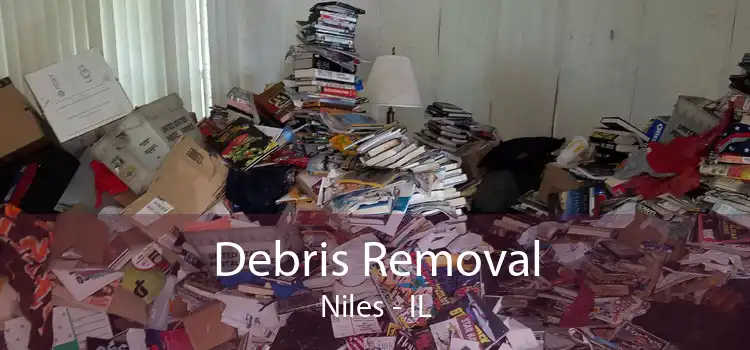 Debris Removal Niles - IL