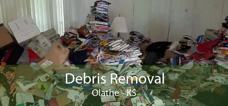 Debris Removal Olathe - KS