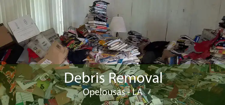 Debris Removal Opelousas - LA