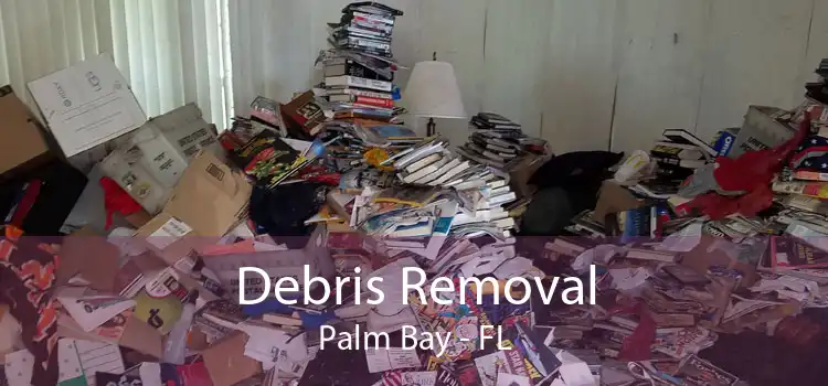 Debris Removal Palm Bay - FL