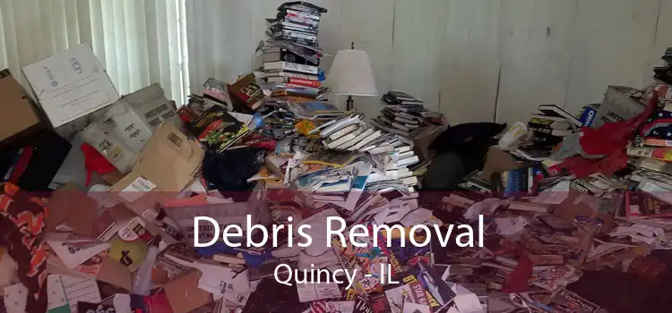 Debris Removal Quincy - IL