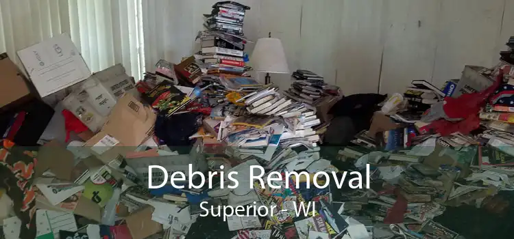 Debris Removal Superior - WI