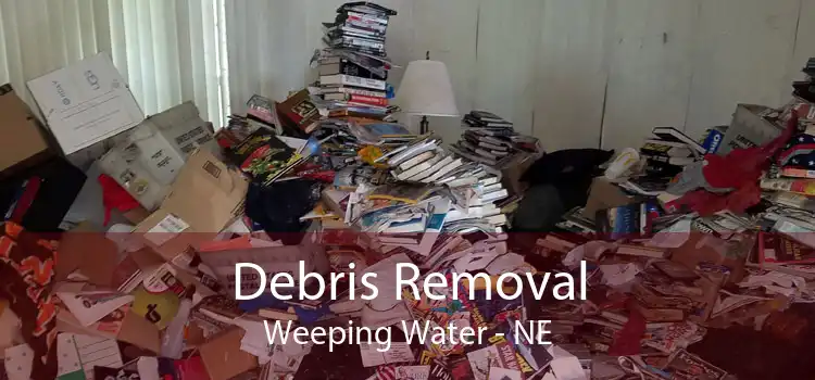 Debris Removal Weeping Water - NE