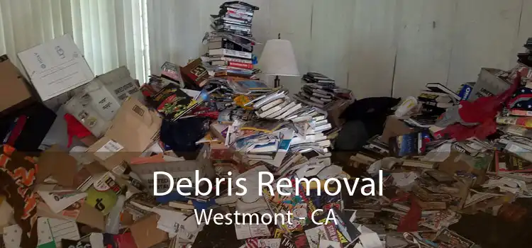 Debris Removal Westmont - CA