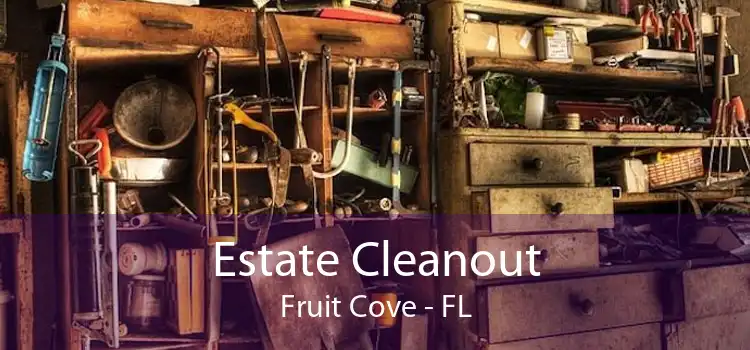 Estate Cleanout Fruit Cove - FL