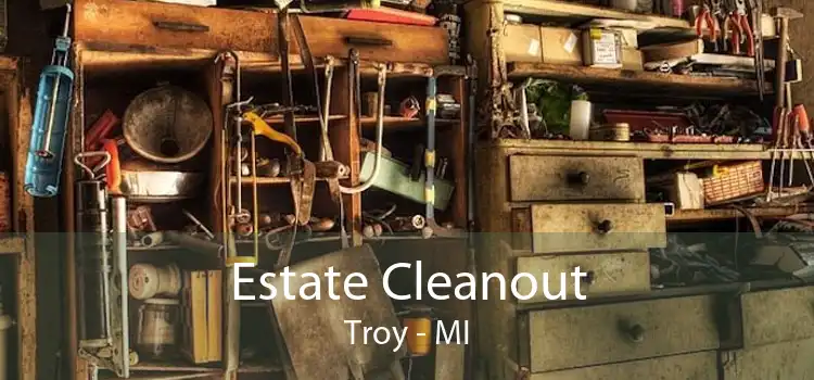 Estate Cleanout Troy - MI