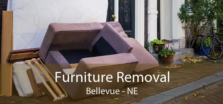 Furniture Removal Bellevue - NE