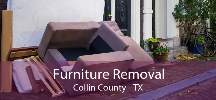 Furniture Removal Collin County - TX