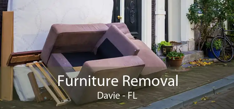 Furniture Removal Davie - FL