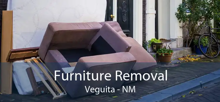 Furniture Removal Veguita - NM