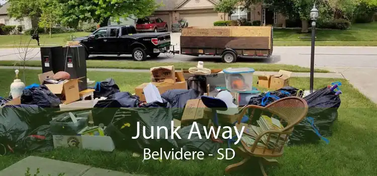 Junk Away Belvidere - SD
