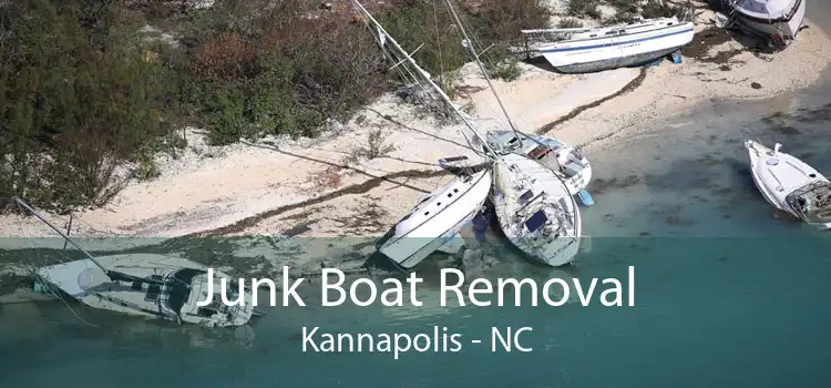Junk Boat Removal Kannapolis - NC