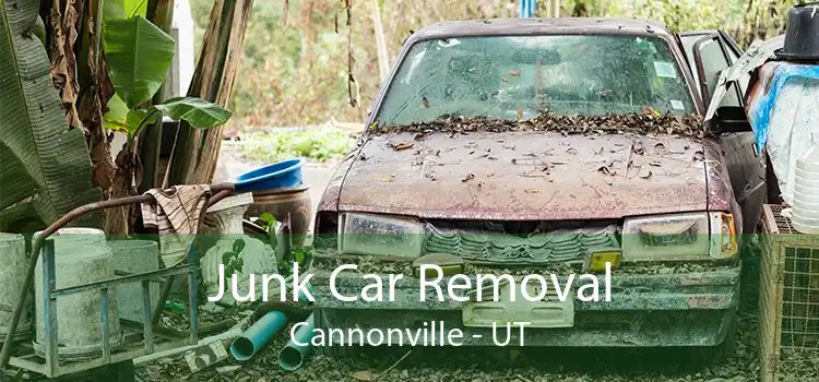 Junk Car Removal Cannonville - UT