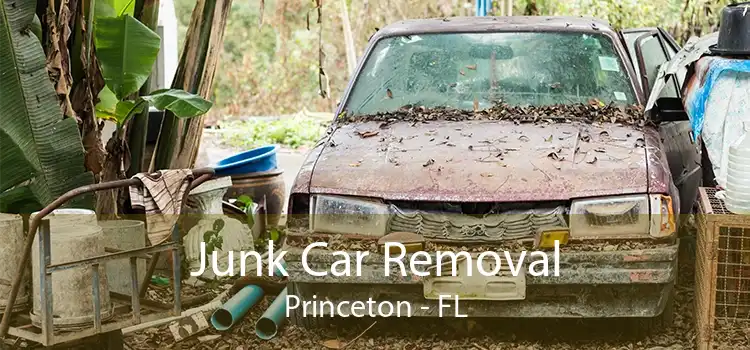 Junk Car Removal Princeton - FL