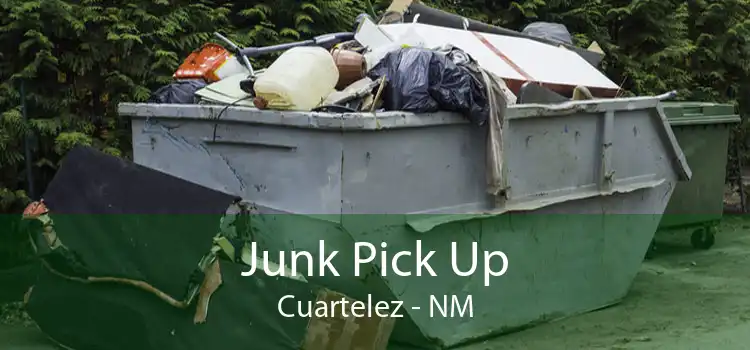 Junk Pick Up Cuartelez - NM