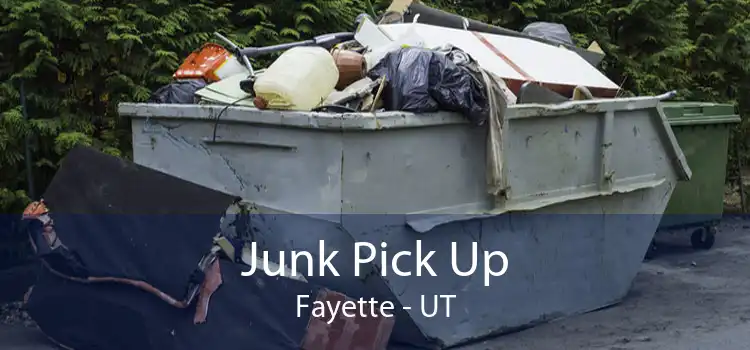 Junk Pick Up Fayette - UT