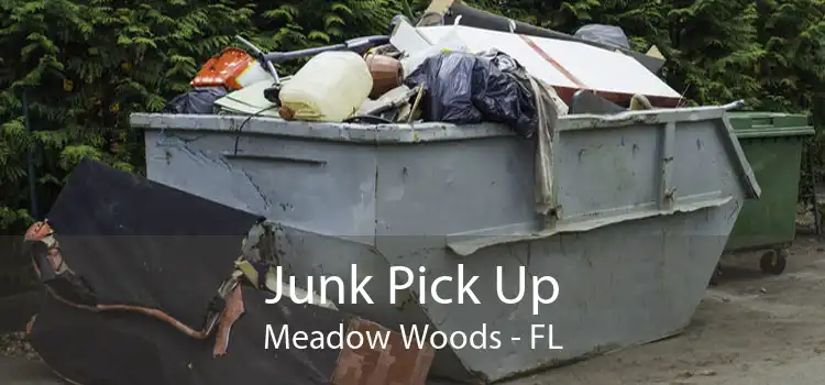 Junk Pick Up Meadow Woods - FL