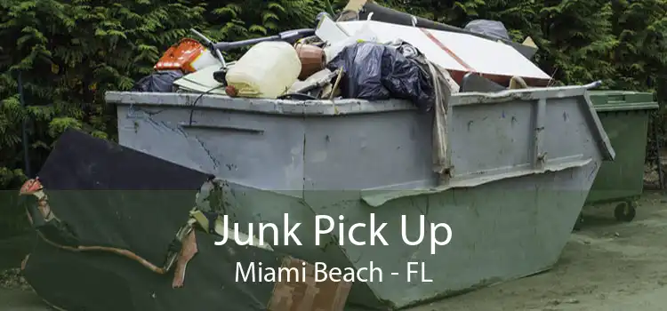 Junk Pick Up Miami Beach - FL