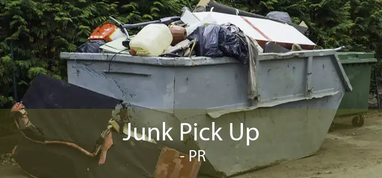 Junk Pick Up  - PR