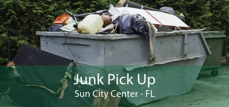 Junk Pick Up Sun City Center - FL