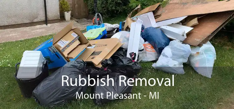 Rubbish Removal Mount Pleasant - MI