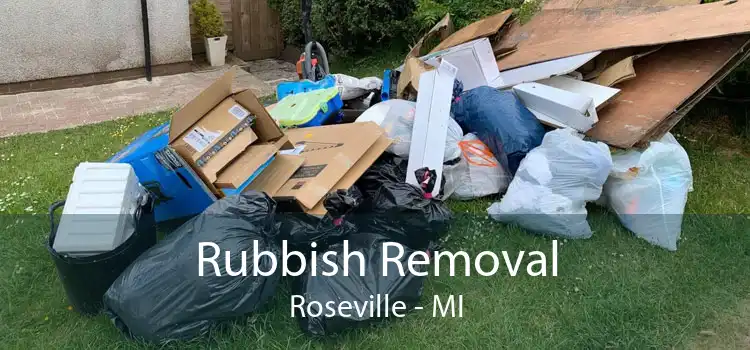 Rubbish Removal Roseville - MI