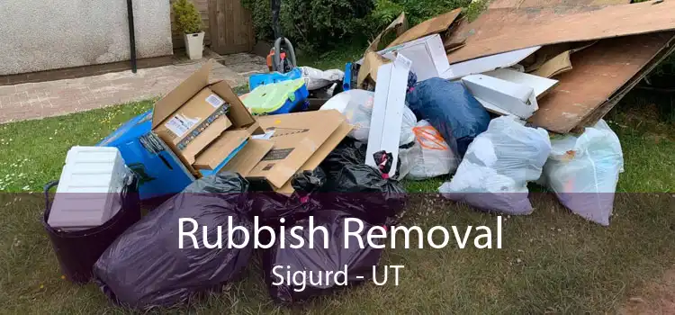 Rubbish Removal Sigurd - UT