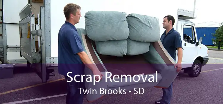 Scrap Removal Twin Brooks - SD
